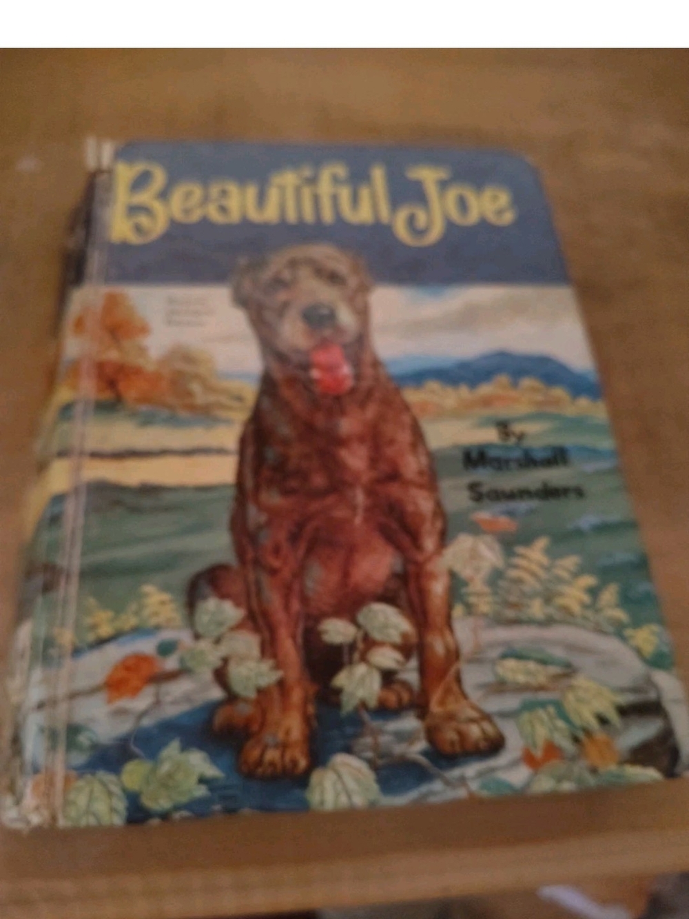 Beautiful Joe Illustrated Brown Dog Book - Classic Story